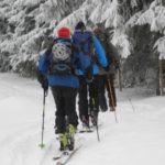 Naturfreunde SG - 2017.01.08 Skitour Gössigenhöhe - 005 2881
