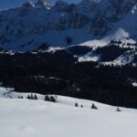 Naturfreunde SG - 2017.02.19 Schneeschuhtour Pfingstboden - 010 3040
