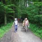 Naturfreunde SG - 2017.06.01 Schwabenweg 5. Etappe - 019 3177