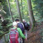 Naturfreunde SG - 2017.10.05 Dowa Rheint. Höhenweg 1. Etappe - 008 3485