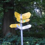 Naturfreunde SG - 2017.10.05 Dowa Rheint. Höhenweg 1. Etappe - 017 3494