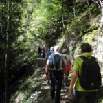 Naturfreunde SG - 2017.10.05 Dowa Rheint. Höhenweg 1. Etappe - 022 3499