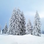 Naturfreunde SG - 2018.02.25 Schneeschutour Pfingstbooden - 004 3772