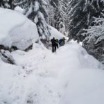 Naturfreunde SG - 2018.02.25 Schneeschutour Pfingstbooden - 024 3792