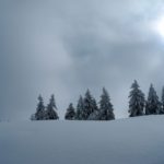 Naturfreunde SG - 2018.02.25 Schneeschutour Pfingstbooden - 026 3794