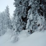 Naturfreunde SG - 2018.02.25 Schneeschutour Pfingstbooden - 029 3797