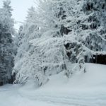 Naturfreunde SG - 2018.02.25 Schneeschutour Pfingstbooden - 031 3799