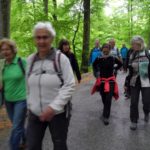 Naturfreunde SG - 2018.05.03 Donnerstagswanderung Napoleonturm - 029 4131