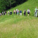 Naturfreunde SG - 2018.06.07 donnerstagswanderung Köbelisberg - 013 4000