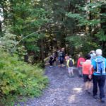 Naturfreunde SG - 2018.09.16 Bergwanderung Karren - 002 4271