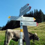 Naturfreunde SG - 2018.09.16 Bergwanderung Karren - 008 4277