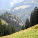 Naturfreunde SG - 2018.09.16 Bergwanderung Karren - 019 4288