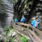 Naturfreunde SG - 2018.09.16 Bergwanderung Karren - 040 4309