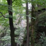 Naturfreunde SG - 2018.09.16 Bergwanderung Karren - 049 4318
