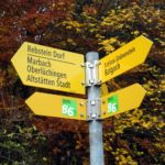 Naturfreunde SG - 2018.11.08 Rheintaler Höhenweg Berneck-Altstätten - 015 4480