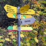 Naturfreunde SG - 2018.11.08 Rheintaler Höhenweg Berneck-Altstätten - 020 4485
