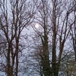 Naturfreunde SG - 2019.04.18 Muolen, Häggenschwil, Mondscheinwanderung - IMG_8564 4814