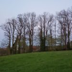 Naturfreunde SG - 2019.04.18 Muolen, Häggenschwil, Mondscheinwanderung - IMG_8576 4826