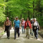 Naturfreunde SG - 2019.05.02 Steinebrunn, Donnerstagswanderung - 14 4850