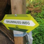 Naturfreunde SG - 2020.10.01 Rheintaler Höhenweg: Sennwald-Gams - 009 (1) 5401