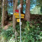 Naturfreunde SG - 2022.08.04 Rheintaler Höhenweg Oberschan - IMG_20220804_145015 5884
